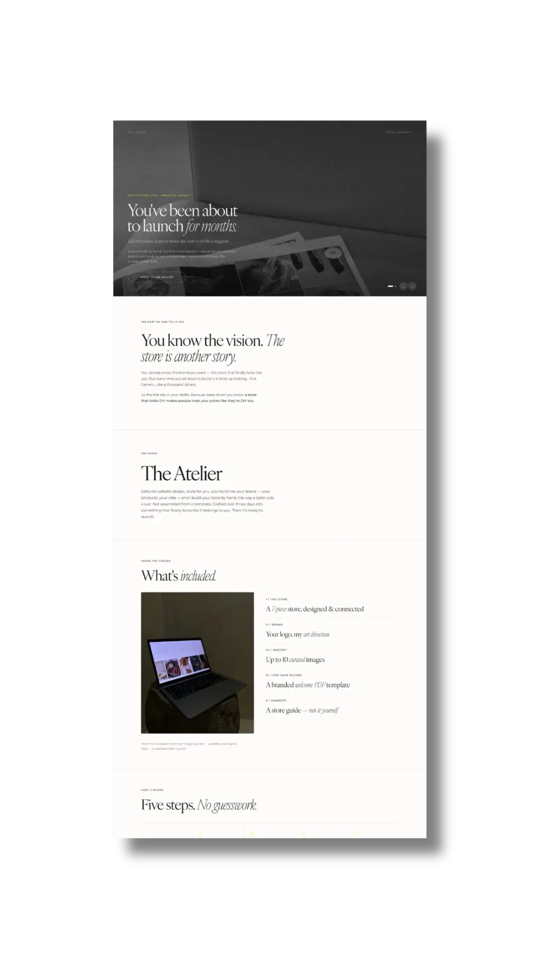 Editorial website design example — the theblurstock store