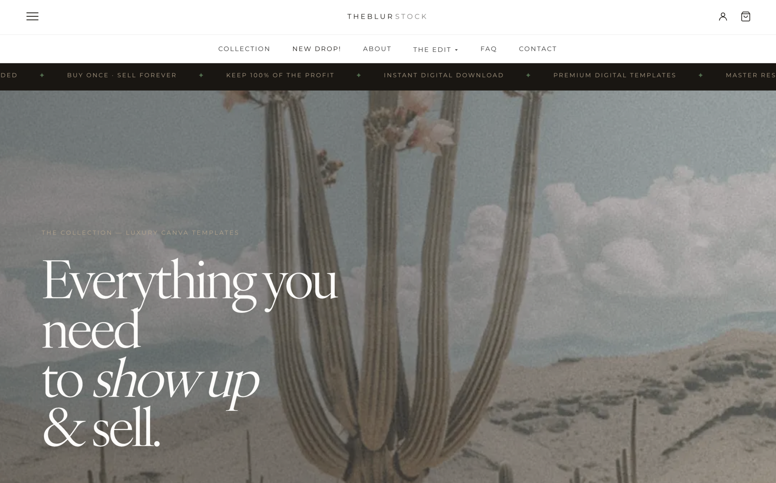 theblurstock store