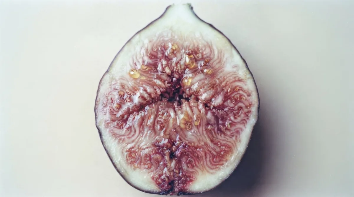 Halved fig on a cream background, editorial still life