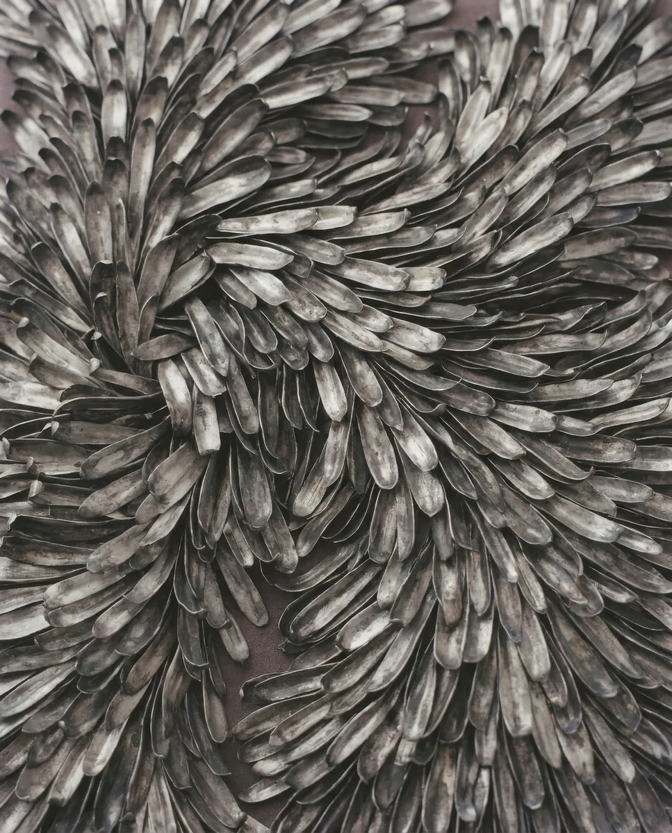 Silver petal texture, editorial abstract image
