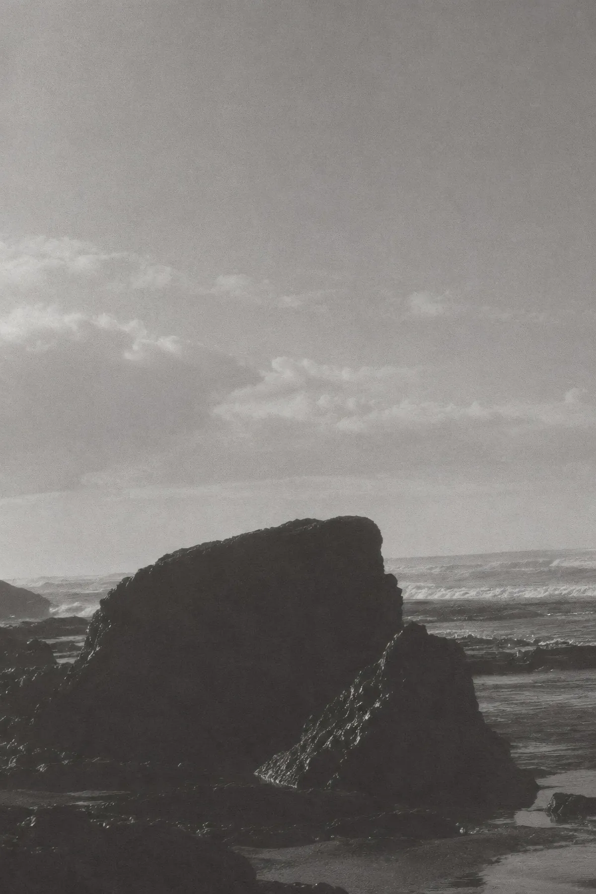 Grainy black and white coastal landscape