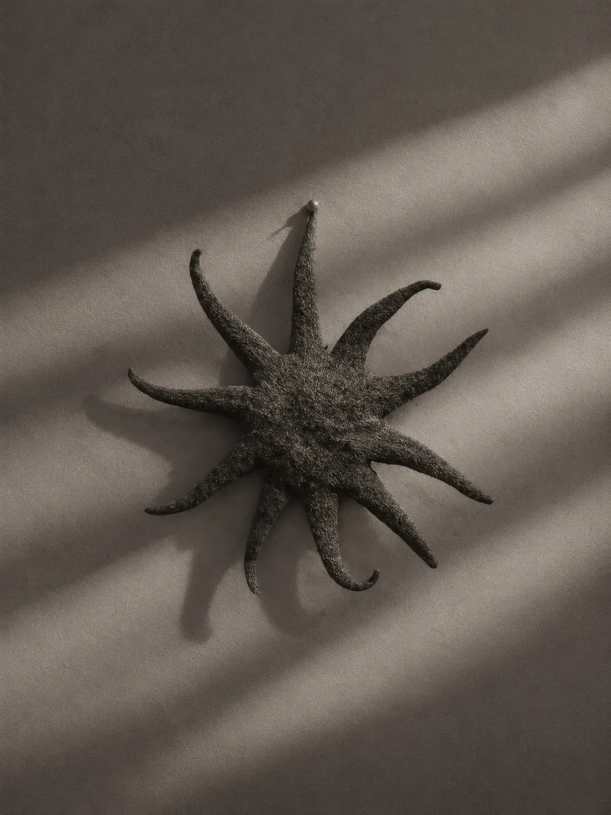 Hanging organic star in striped light